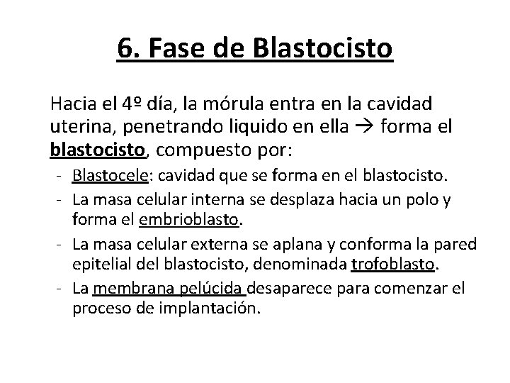 6. Fase de Blastocisto Hacia el 4º día, la mórula entra en la cavidad 6. Fase de Blastocisto Hacia el 4º día, la mórula entra en la cavidad