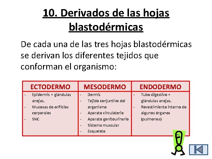 10. Derivados de las hojas blastodérmicas De cada una de las tres hojas blastodérmicas 10. Derivados de las hojas blastodérmicas De cada una de las tres hojas blastodérmicas