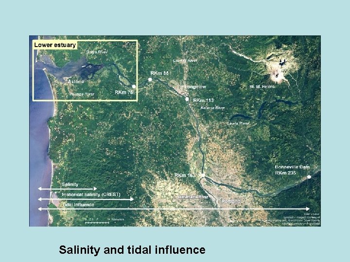 Salinity and tidal influence 