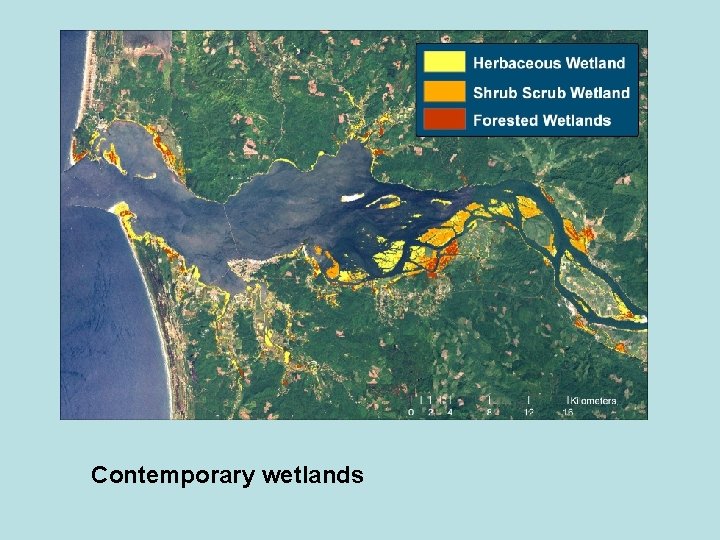 Contemporary wetlands 