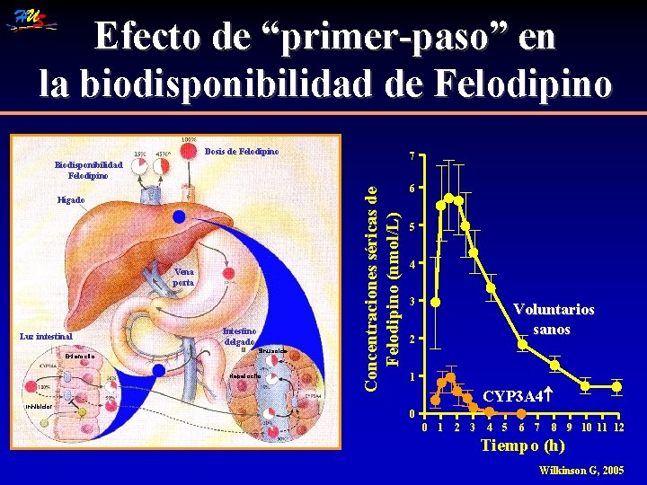 Efecto de “primer-paso” en la biodisponibilidad de Felodipino Dosis de Felodipino 7 Hígado Vena