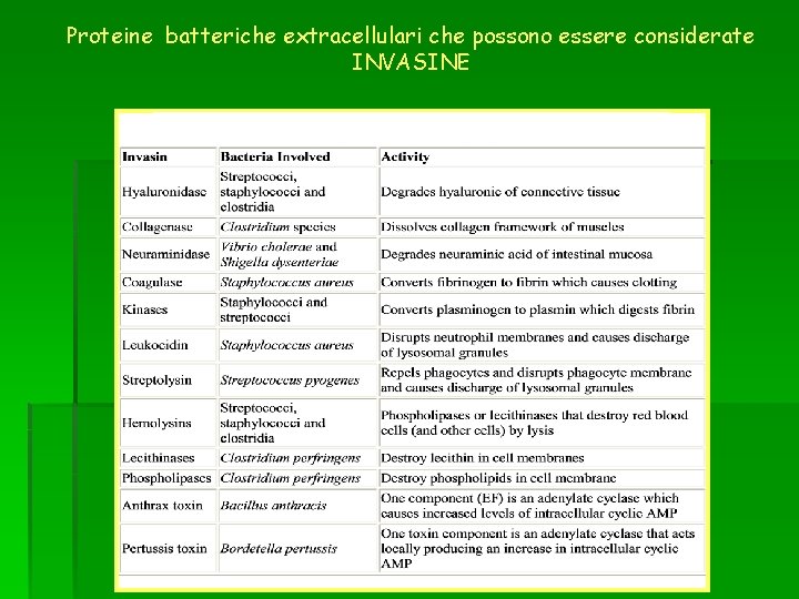 Proteine batteriche extracellulari che possono essere considerate INVASINE 