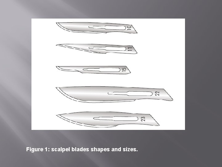 Figure 1: scalpel blades shapes and sizes. 