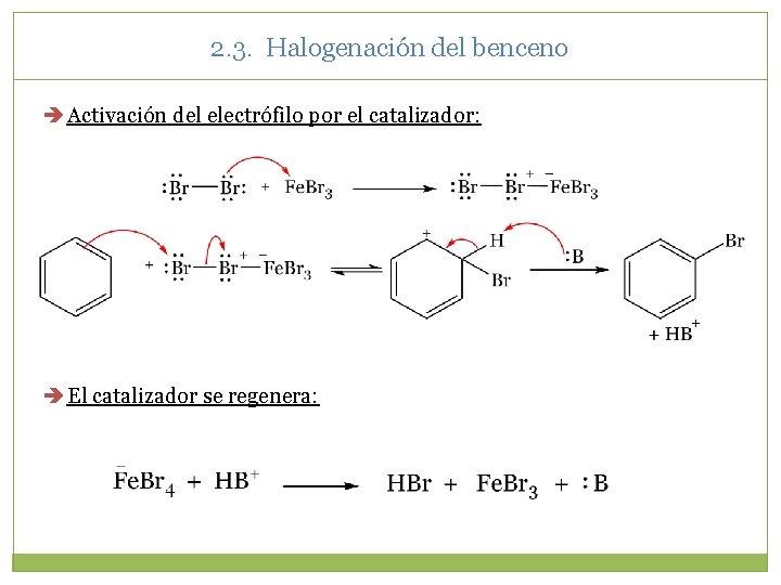 2. 3. Halogenación del benceno Activación del electrófilo por el catalizador: El catalizador se 2. 3. Halogenación del benceno Activación del electrófilo por el catalizador: El catalizador se