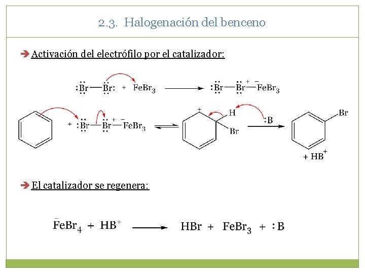 2. 3. Halogenación del benceno Activación del electrófilo por el catalizador: El catalizador se