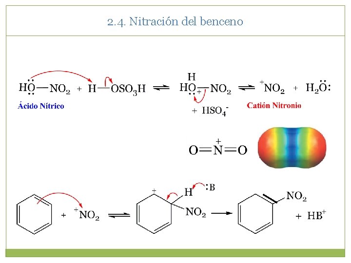 2. 4. Nitración del benceno 2. 4. Nitración del benceno