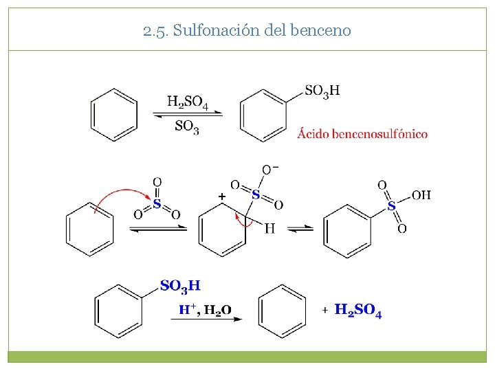 2. 5. Sulfonación del benceno + 