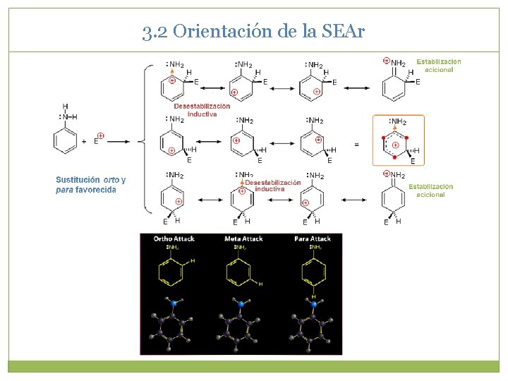 3. 2 Orientación de la SEAr Sustitución orto y para favorecida 