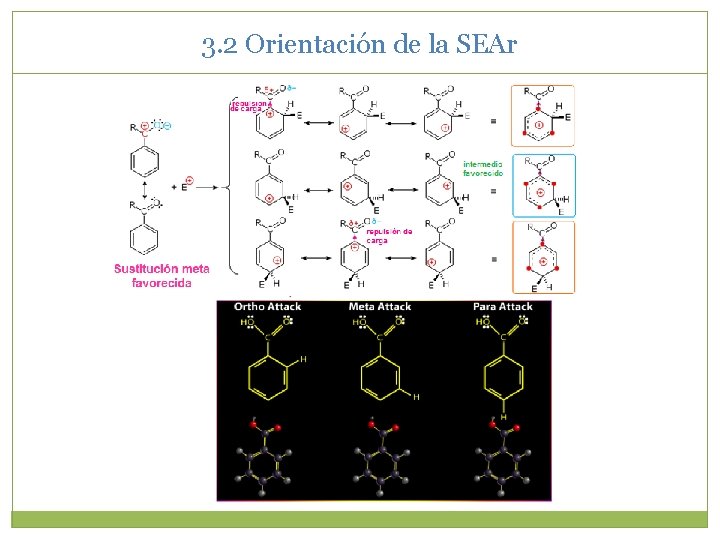 3. 2 Orientación de la SEAr 