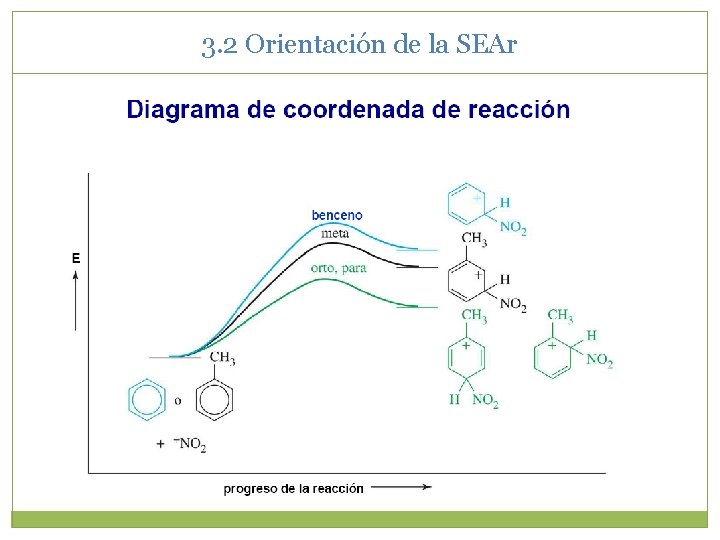 3. 2 Orientación de la SEAr 3. 2 Orientación de la SEAr