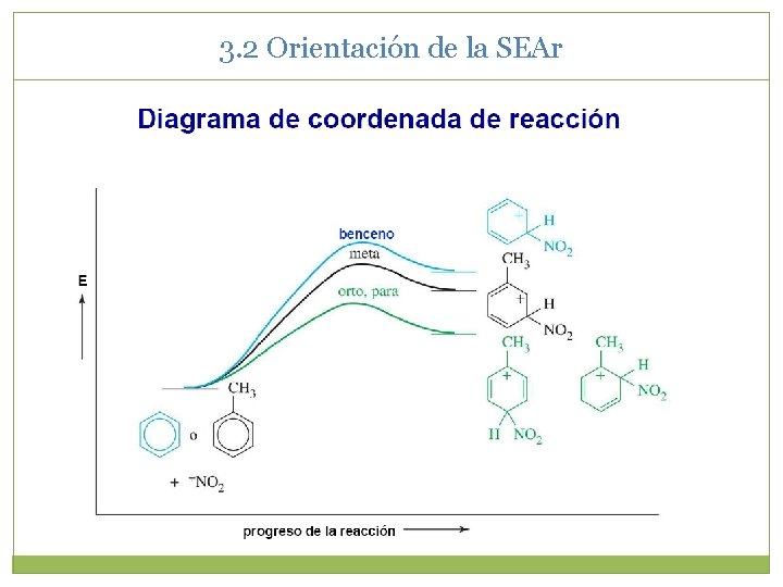 3. 2 Orientación de la SEAr 