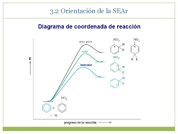 3. 2 Orientación de la SEAr 3. 2 Orientación de la SEAr
