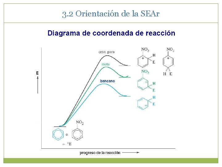 3. 2 Orientación de la SEAr 