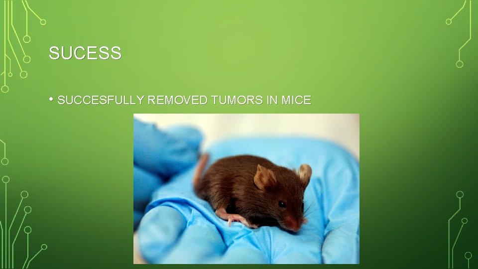SUCESS • SUCCESFULLY REMOVED TUMORS IN MICE 