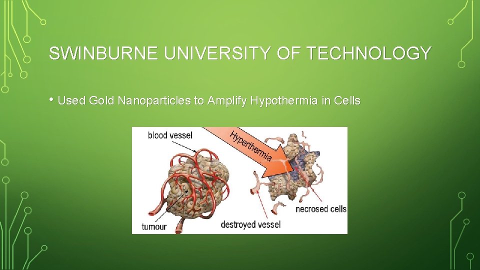 SWINBURNE UNIVERSITY OF TECHNOLOGY • Used Gold Nanoparticles to Amplify Hypothermia in Cells 