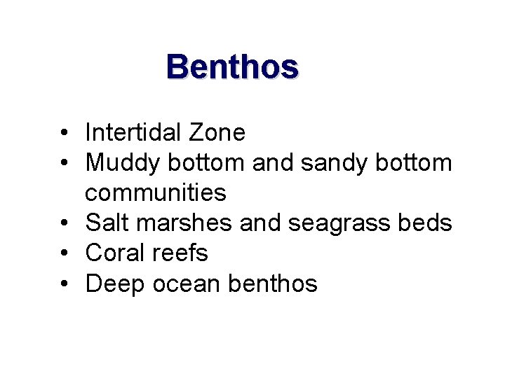 Benthos • Intertidal Zone • Muddy bottom and sandy bottom communities • Salt marshes