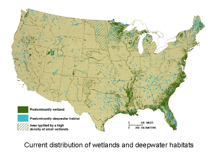 Current distribution of wetlands and deepwater habitats 