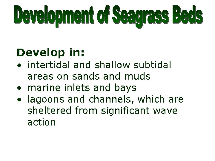 Develop in: • intertidal and shallow subtidal areas on sands and muds • marine