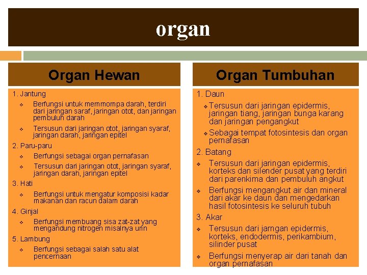 organ Organ Hewan 1. Jantung v Berfungsi untuk memmompa darah, terdiri dari jaringan saraf,