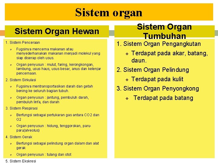 Sistem organ Sistem Organ Tumbuhan Sistem Organ Hewan 1. Sistem Penceraan v v Fugsinya