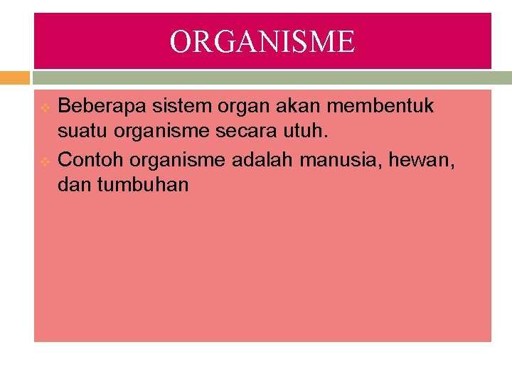 ORGANISME v v Beberapa sistem organ akan membentuk suatu organisme secara utuh. Contoh organisme