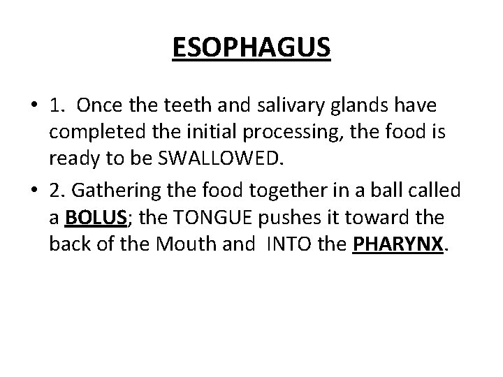 ESOPHAGUS • 1. Once the teeth and salivary glands have completed the initial processing,
