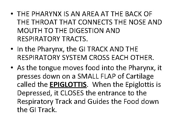  • THE PHARYNX IS AN AREA AT THE BACK OF THE THROAT THAT