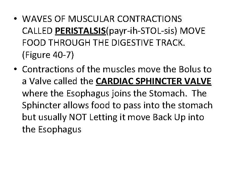  • WAVES OF MUSCULAR CONTRACTIONS CALLED PERISTALSIS(payr-ih-STOL-sis) MOVE FOOD THROUGH THE DIGESTIVE TRACK.
