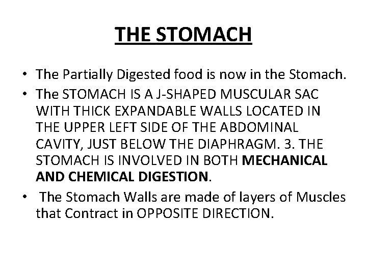 THE STOMACH • The Partially Digested food is now in the Stomach. • The