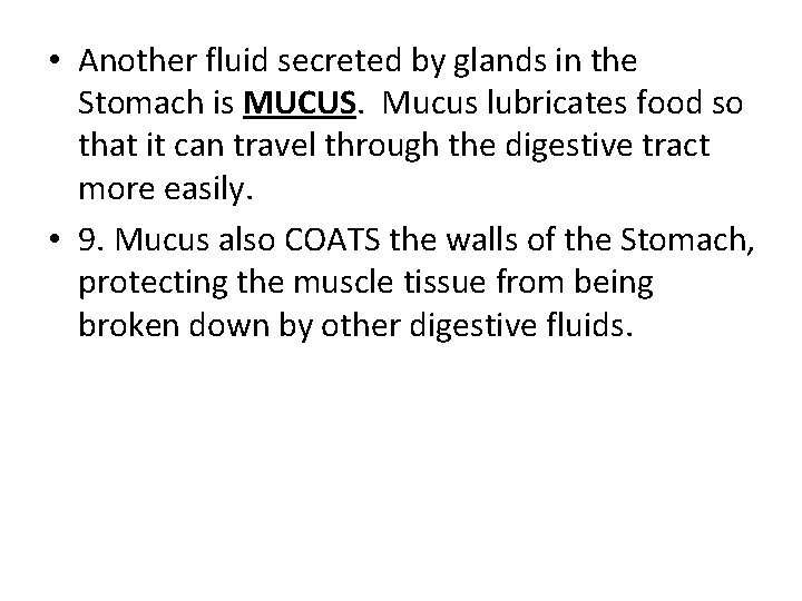  • Another fluid secreted by glands in the Stomach is MUCUS. Mucus lubricates