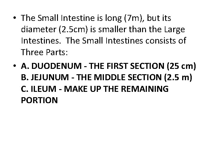  • The Small Intestine is long (7 m), but its diameter (2. 5