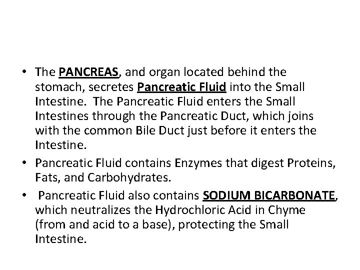  • The PANCREAS, and organ located behind the stomach, secretes Pancreatic Fluid into