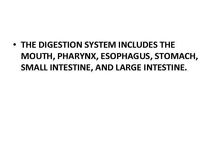  • THE DIGESTION SYSTEM INCLUDES THE MOUTH, PHARYNX, ESOPHAGUS, STOMACH, SMALL INTESTINE, AND