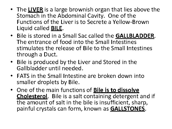  • The LIVER is a large brownish organ that lies above the Stomach