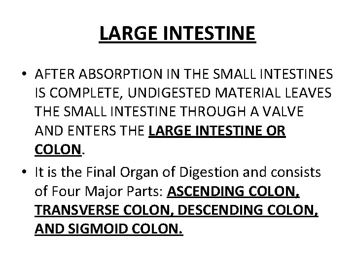LARGE INTESTINE • AFTER ABSORPTION IN THE SMALL INTESTINES IS COMPLETE, UNDIGESTED MATERIAL LEAVES