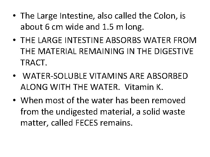  • The Large Intestine, also called the Colon, is about 6 cm wide