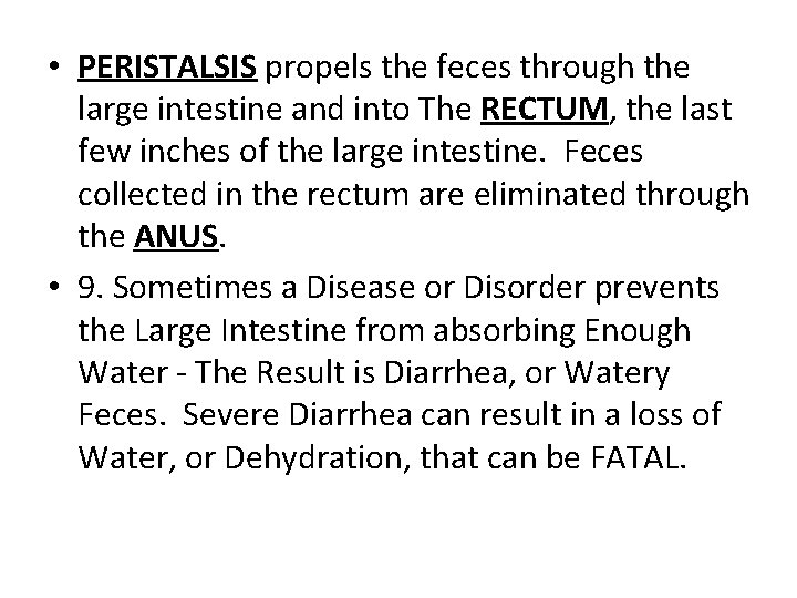  • PERISTALSIS propels the feces through the large intestine and into The RECTUM,