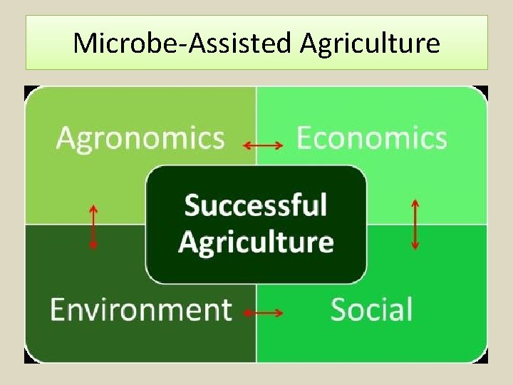 Microbe-Assisted Agriculture 