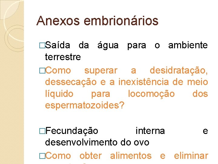 Anexos embrionários �Saída da água para o ambiente terrestre �Como superar a desidratação, dessecação