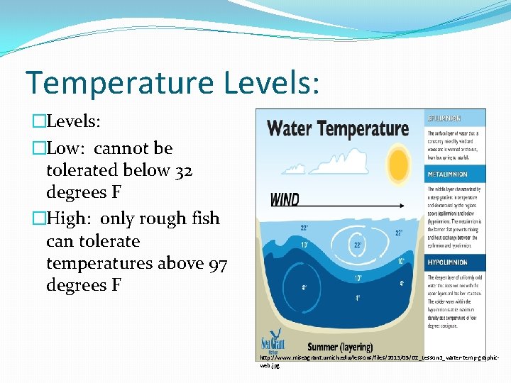Temperature Levels: �Low: cannot be tolerated below 32 degrees F �High: only rough fish Temperature Levels: �Low: cannot be tolerated below 32 degrees F �High: only rough fish