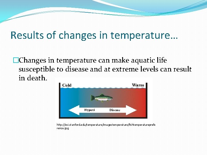 Results of changes in temperature… �Changes in temperature can make aquatic life susceptible to