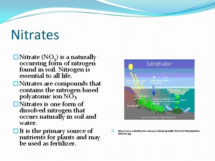 Nitrates �Nitrate (NO 3) is a naturally occurring form of nitrogen found in soil.