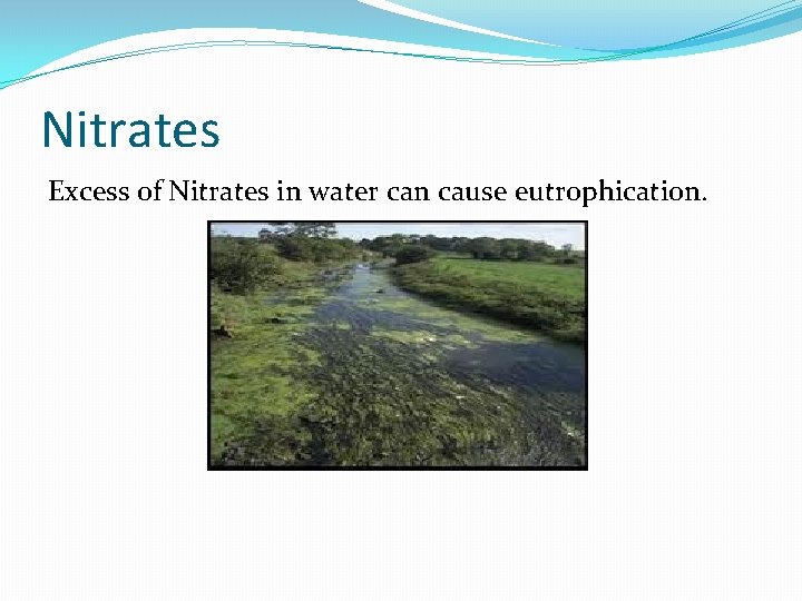 Nitrates Excess of Nitrates in water can cause eutrophication. 