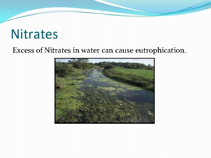 Nitrates Excess of Nitrates in water can cause eutrophication. Nitrates Excess of Nitrates in water can cause eutrophication.