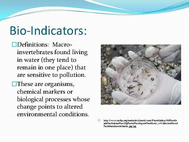 Bio-Indicators: �Definitions: Macroinvertebrates found living in water (they tend to remain in one place)