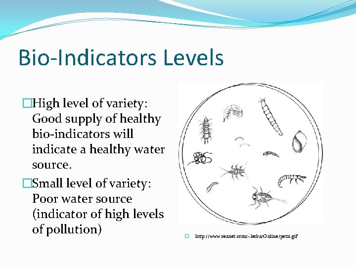 Bio-Indicators Levels �High level of variety: Good supply of healthy bi 0 -indicators will