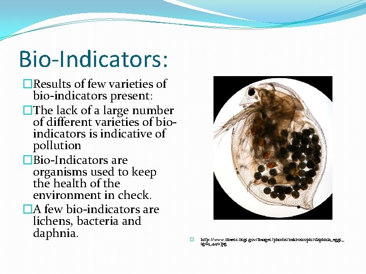 Bio-Indicators: �Results of few varieties of bio-indicators present: �The lack of a large number
