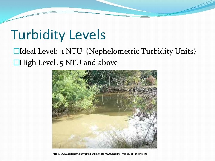 Turbidity Levels �Ideal Level: 1 NTU (Nephelometric Turbidity Units) �High Level: 5 NTU and