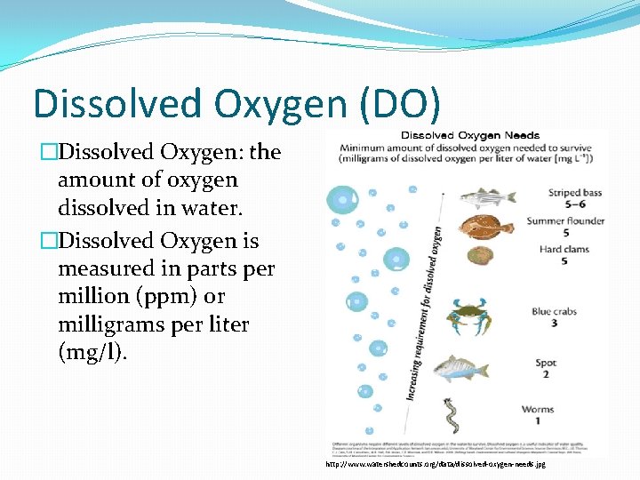 Dissolved Oxygen (DO) �Dissolved Oxygen: the amount of oxygen dissolved in water. �Dissolved Oxygen