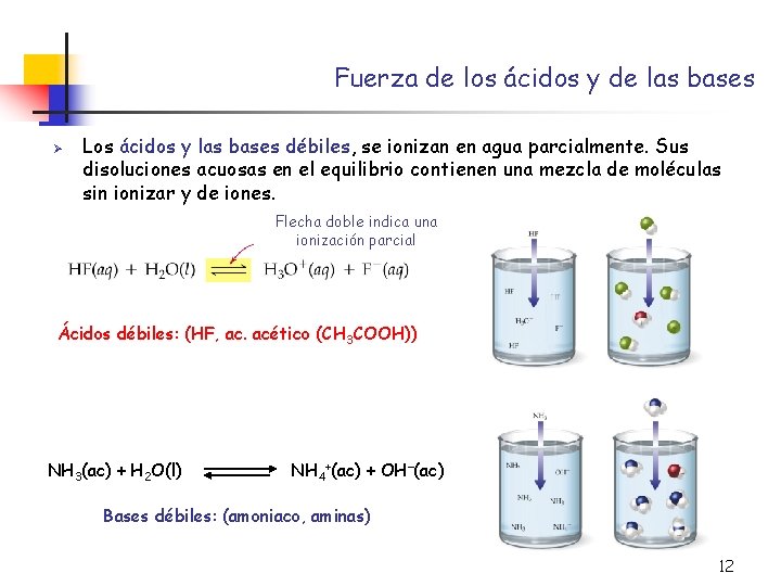 Fuerza de los ácidos y de las bases Ø Los ácidos y las bases